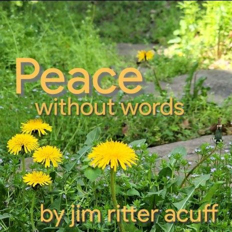 Peace without Words | Boomplay Music