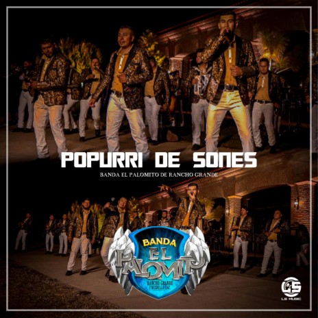 Popurri De Sones | Boomplay Music