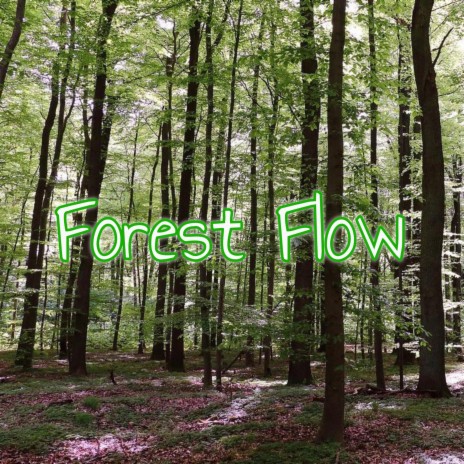 Forest Flow | Boomplay Music
