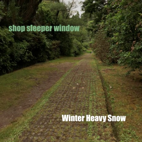 Shop Sleeper Window | Boomplay Music