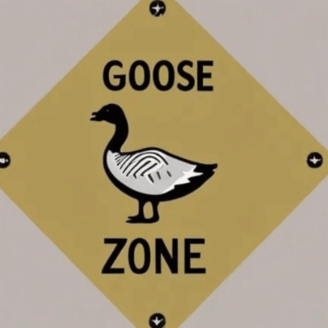 Goose Zone ft. Kai Jordan