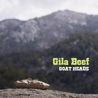 Gila Beef