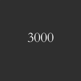 3000