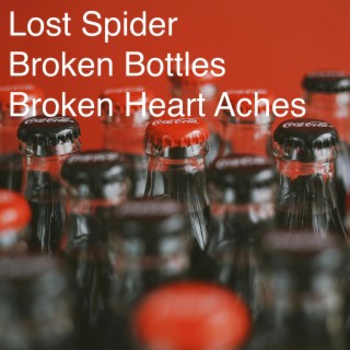 Broken Bottles Broken Heart Aches