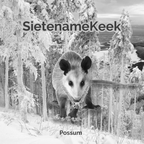 Possum | Boomplay Music