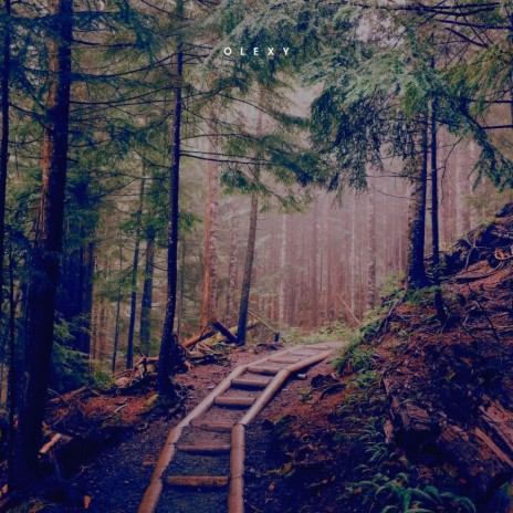 Between the trees ft. Olexy | Boomplay Music