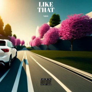 Like that lyrics | Boomplay Music