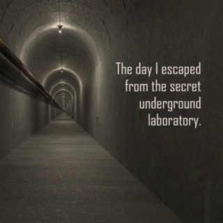 The day I escaped from the secret underground laboratory
