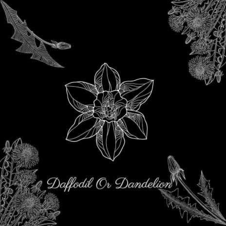 Daffodil or Dandelion