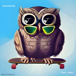 Skateboard Owl (Instrumental)