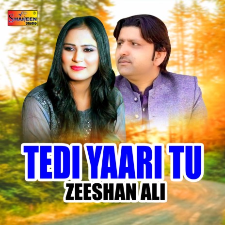 Tedi Yaari Tu | Boomplay Music