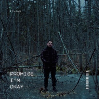 Promise I'm Okay lyrics | Boomplay Music