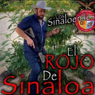 Los Sinaloenses