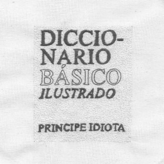 Diccionario Básico Ilustrado (Doméstico B-Sides)