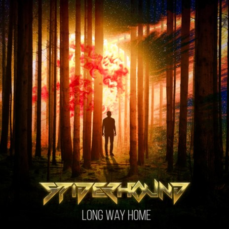 Long Way Home | Boomplay Music