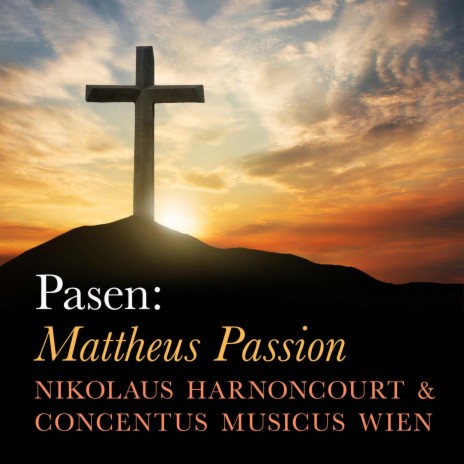 St Matthew Passion, BWV 244, Pt. 1: No. 6, Buss und Reu (Contralto) ft. Bernarda Fink & Concentus musicus Wien | Boomplay Music