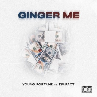 Ginger Me ft. Timifact lyrics | Boomplay Music