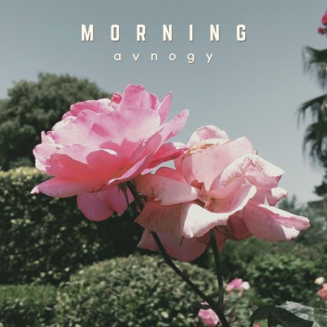 Morning | Boomplay Music