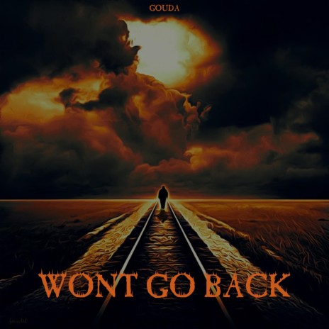 Wont Go Back | Boomplay Music