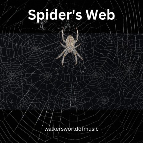 Spider's Web | Boomplay Music