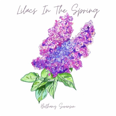 Lilacs In The Spring