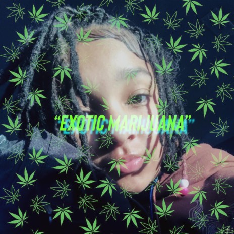 Exotic Marijuana | Boomplay Music