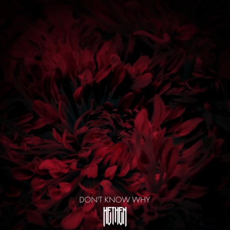 Don't Know Why | Boomplay Music