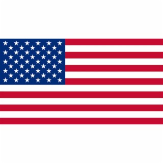 Unites States of America Eelectronica