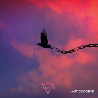 Last Goodbye