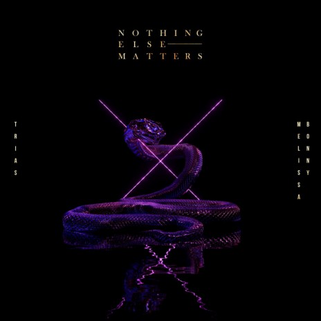 Nothing Else Matters ft. Melissa Bonny | Boomplay Music