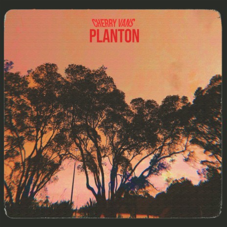 Planton | Boomplay Music