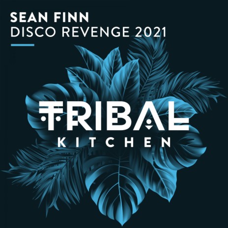 Disco Revenge 2021 (Radio Edit) | Boomplay Music