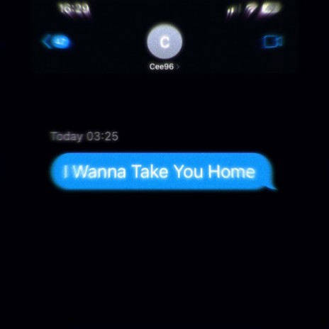 I Wanna Take You Home | Boomplay Music