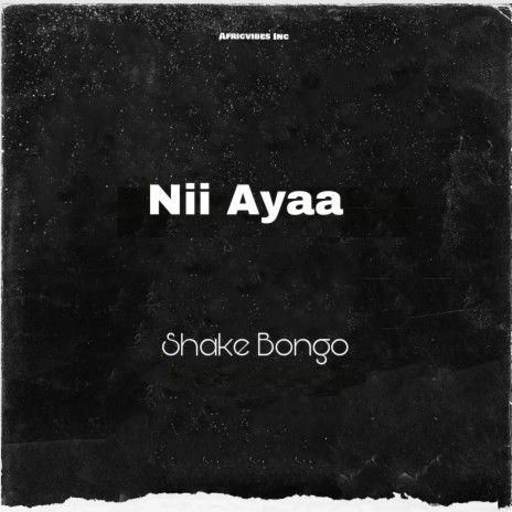 Nii Ayaa | Boomplay Music