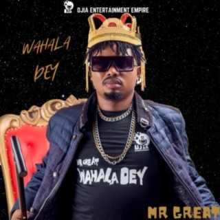 WAHALA DEY | Boomplay Music