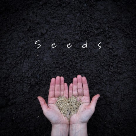 Seeds ft. Carrie Tree | Boomplay Music