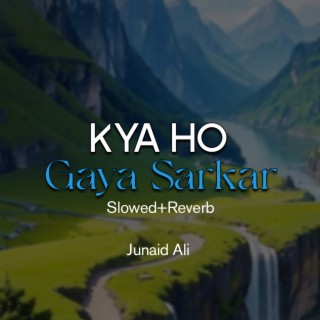 Kya Ho Gaya Sarkar Lofi