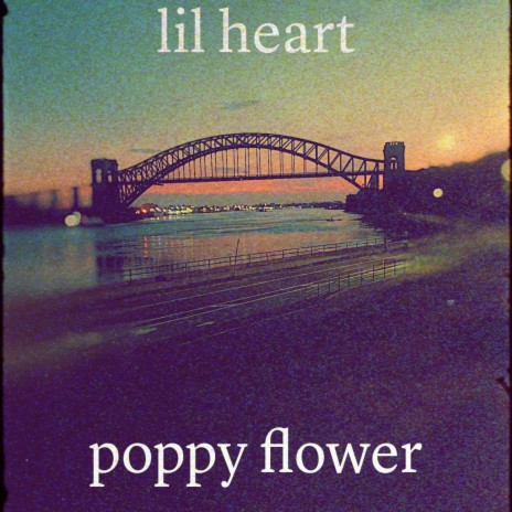Poppy Flower | Boomplay Music