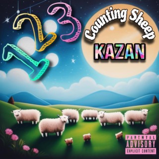 Counting Sheep lyrics | Boomplay Music