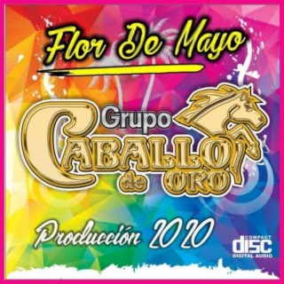 Flor de mayo