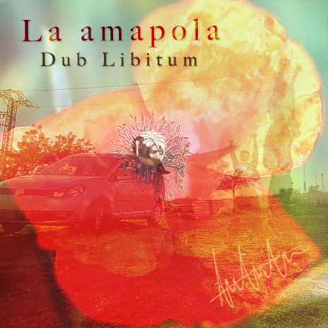 La amapola | Boomplay Music