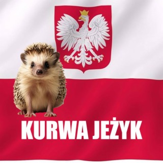 KURWA JEŻYK