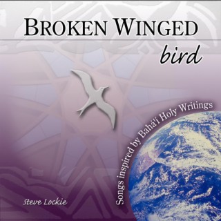 Broken Winged Bird