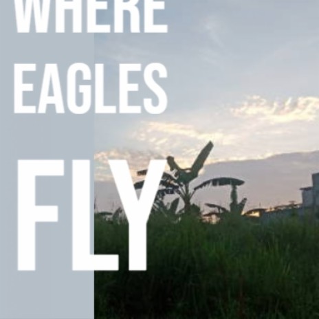 Where Eagles Fly | Boomplay Music