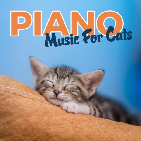 Cat Music For Relaxation