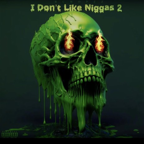 I Dont Like Niggas 2