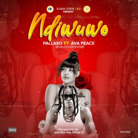 Ndiwuwo (feat. Pallaso) | Boomplay Music