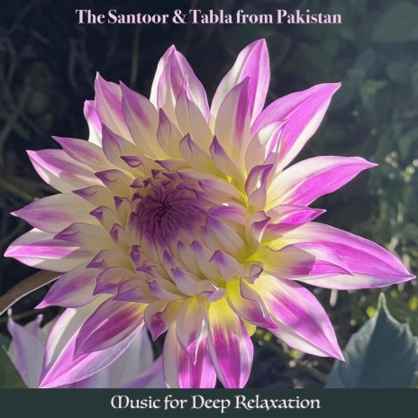 Sindhi Folk Song | Boomplay Music