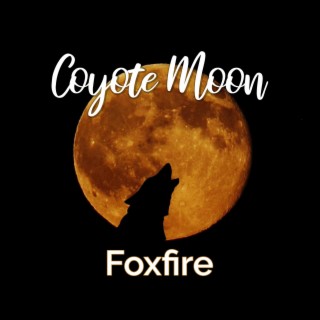 Coyote Moon