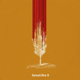 forest/fire II